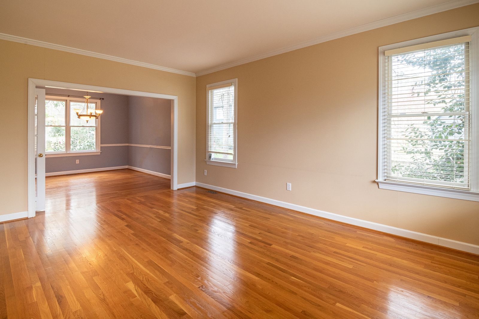 Bright open living space with wood-look luxury vinyl plank flooring
